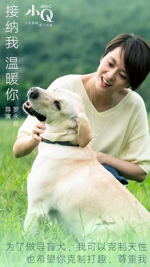 哪里能办爱沙尼亚签证